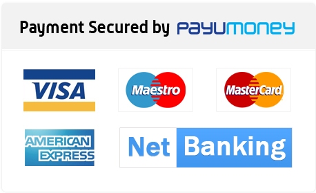 payment accept image